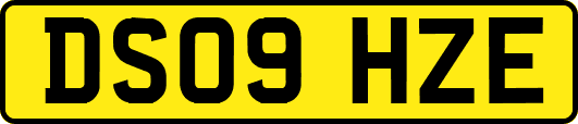 DS09HZE