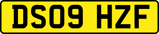 DS09HZF
