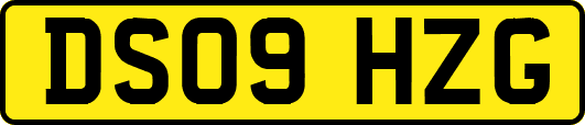 DS09HZG