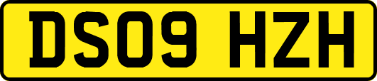 DS09HZH