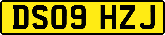 DS09HZJ