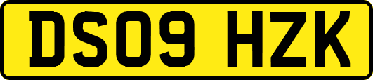 DS09HZK