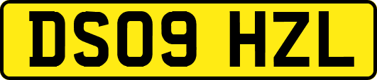 DS09HZL
