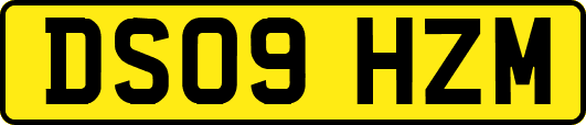 DS09HZM