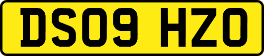 DS09HZO