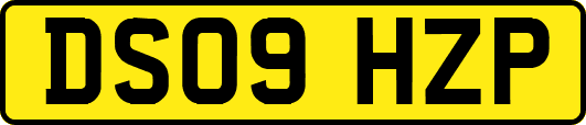 DS09HZP