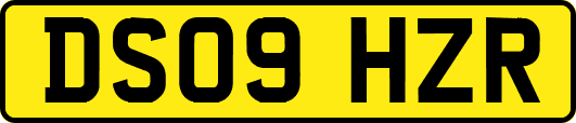 DS09HZR
