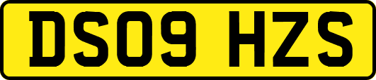 DS09HZS