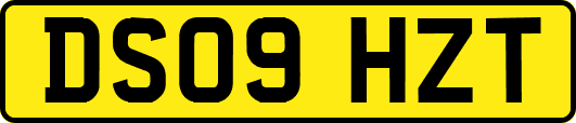 DS09HZT