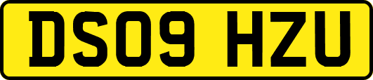 DS09HZU