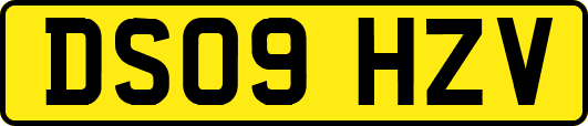 DS09HZV