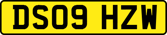 DS09HZW