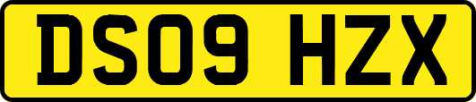 DS09HZX