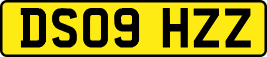 DS09HZZ