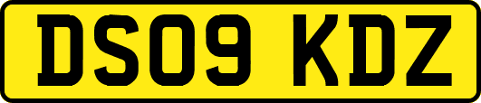 DS09KDZ