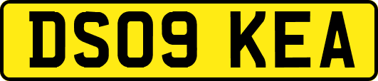 DS09KEA