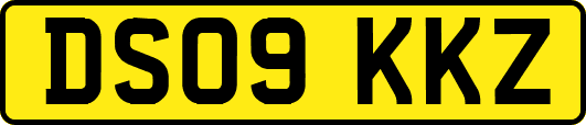 DS09KKZ