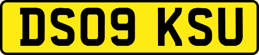 DS09KSU