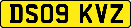 DS09KVZ