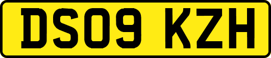 DS09KZH