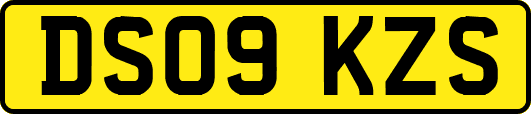 DS09KZS