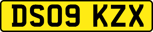 DS09KZX