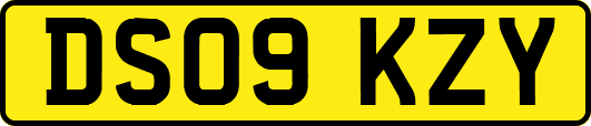 DS09KZY