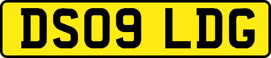 DS09LDG