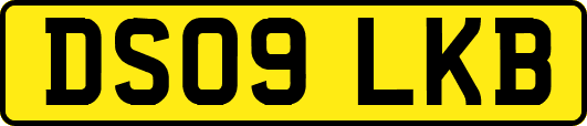 DS09LKB