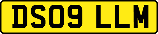 DS09LLM