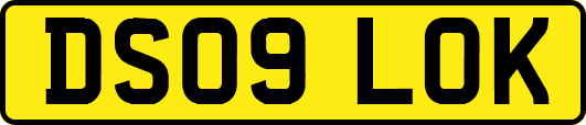 DS09LOK