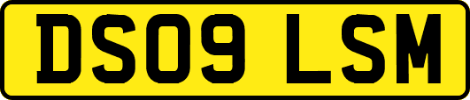 DS09LSM