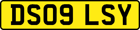 DS09LSY