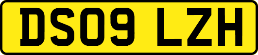 DS09LZH
