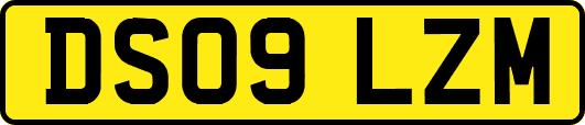 DS09LZM