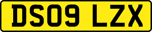 DS09LZX