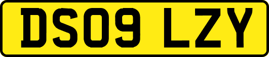 DS09LZY