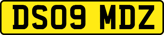 DS09MDZ