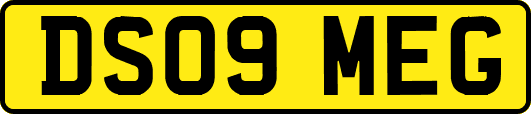 DS09MEG