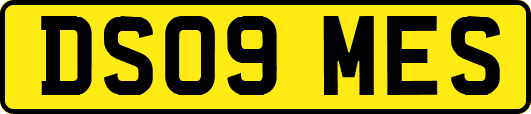 DS09MES