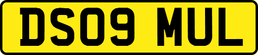 DS09MUL