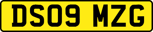 DS09MZG