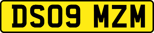DS09MZM
