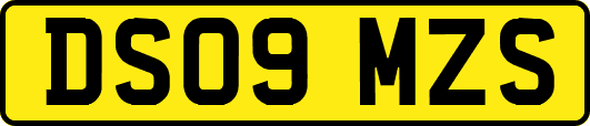 DS09MZS