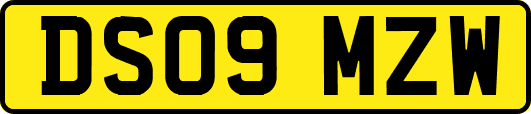 DS09MZW