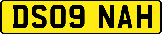 DS09NAH