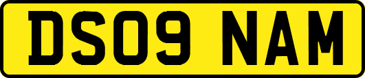 DS09NAM