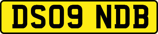 DS09NDB
