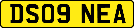 DS09NEA