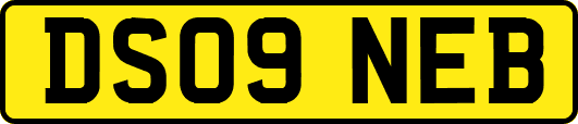 DS09NEB